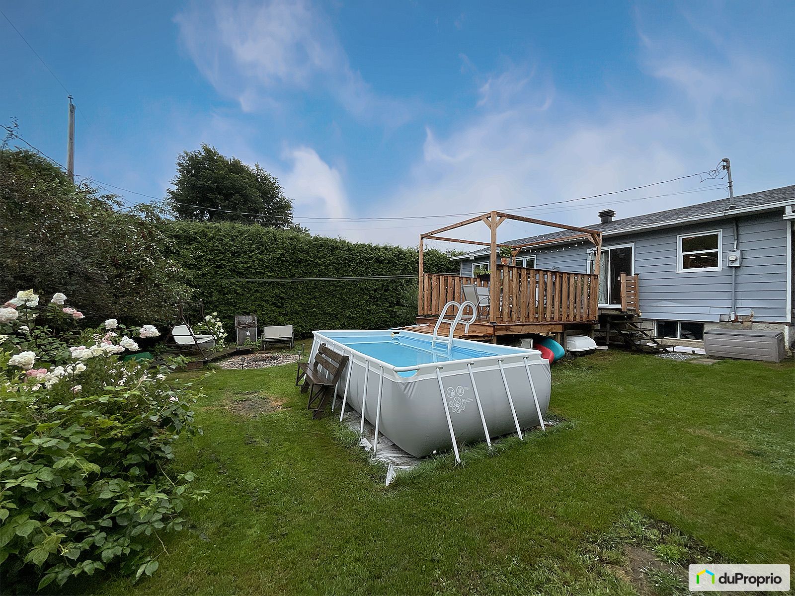 1559 Rue Du Murier — photo 3