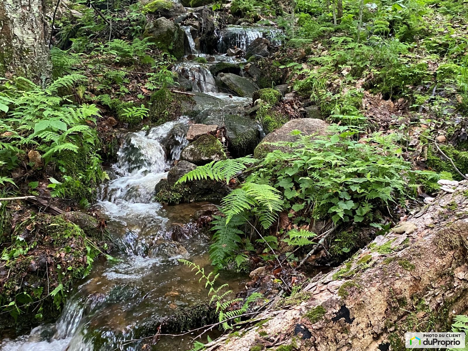 Chemin De La Serenite — photo 2