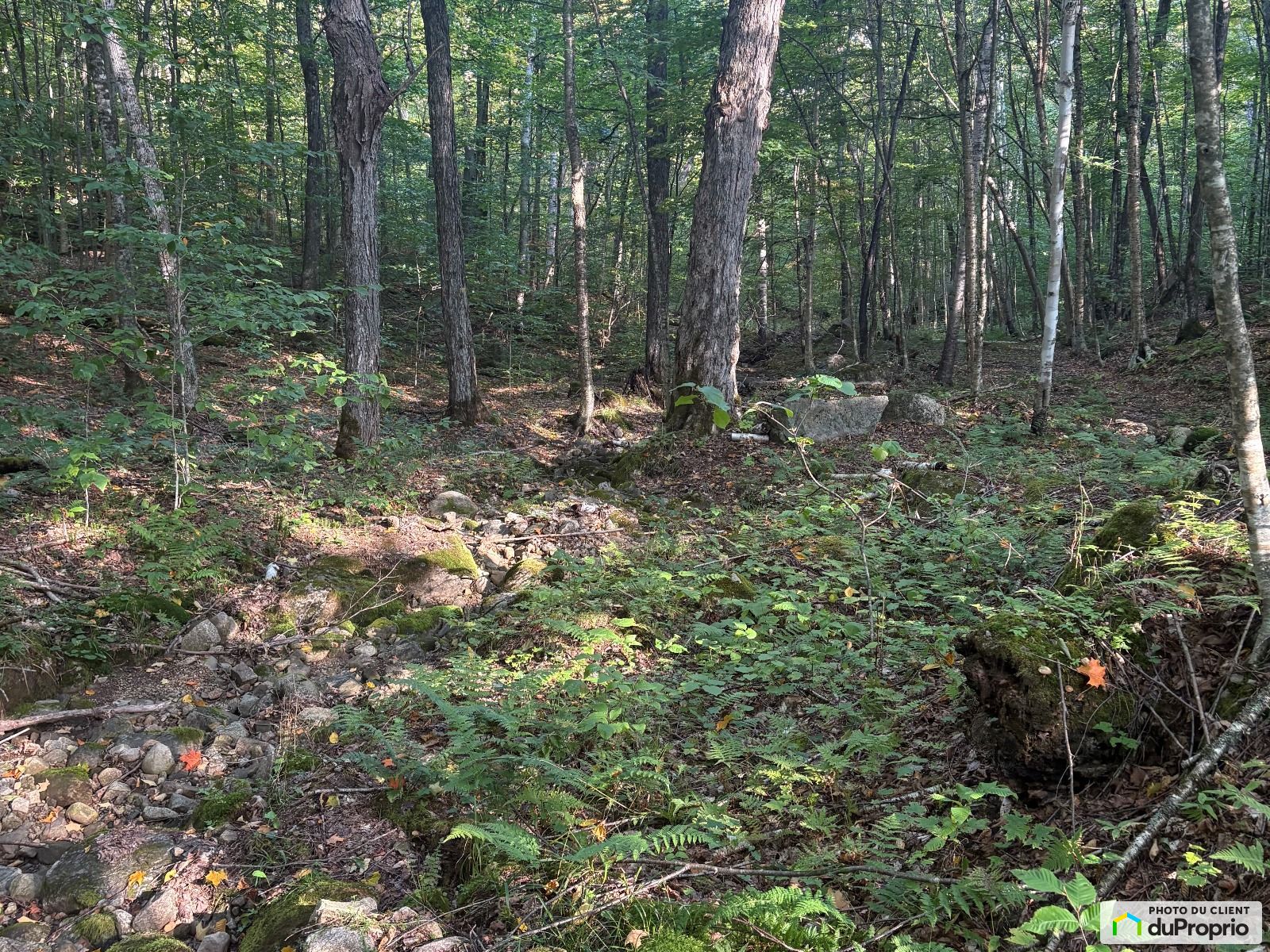 Chemin De La Serenite — photo 1