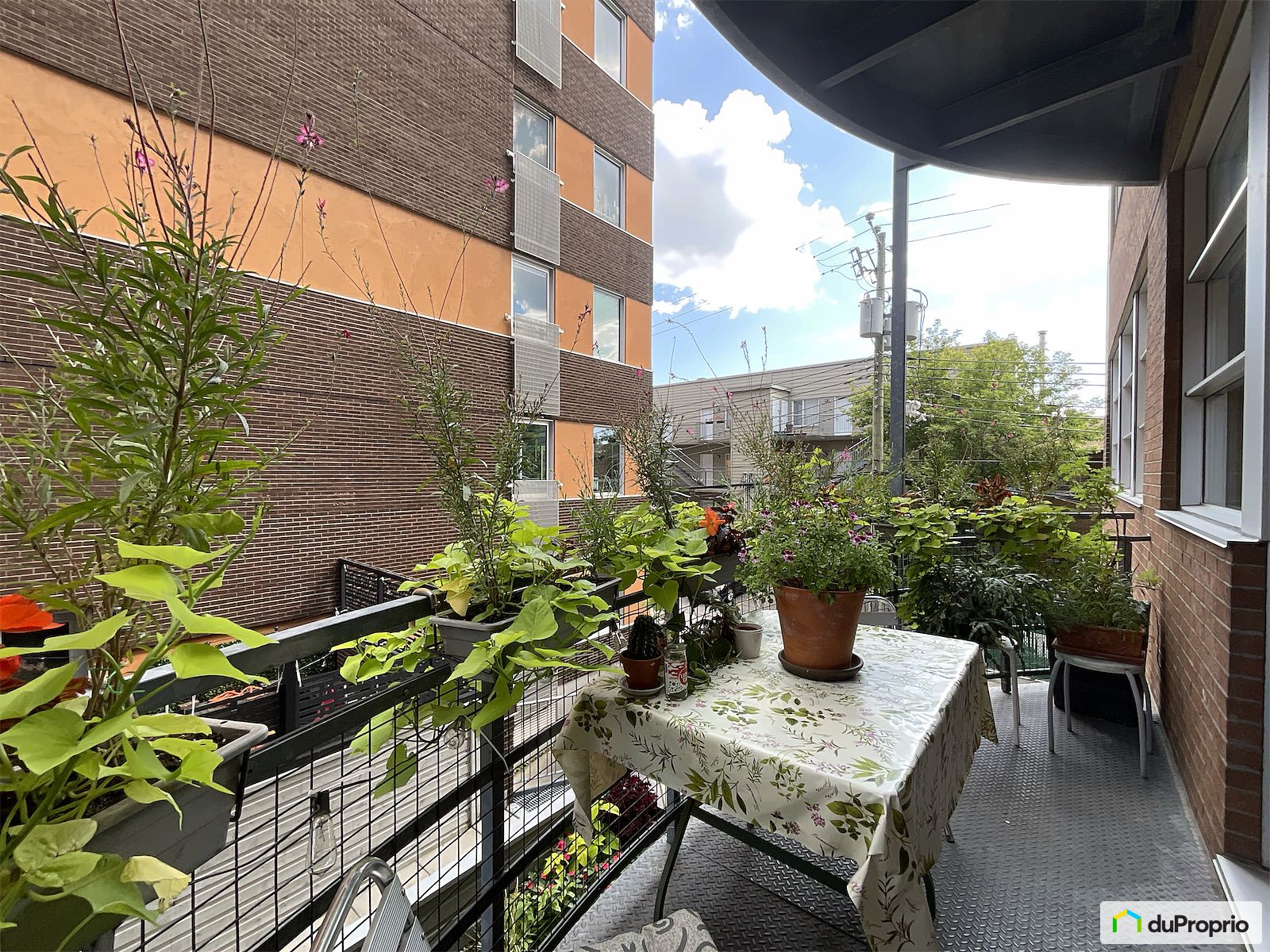 212 7080 Rue Hutchison — photo 1