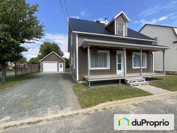 1170, rue Héon, St-Wenceslas à vendre
