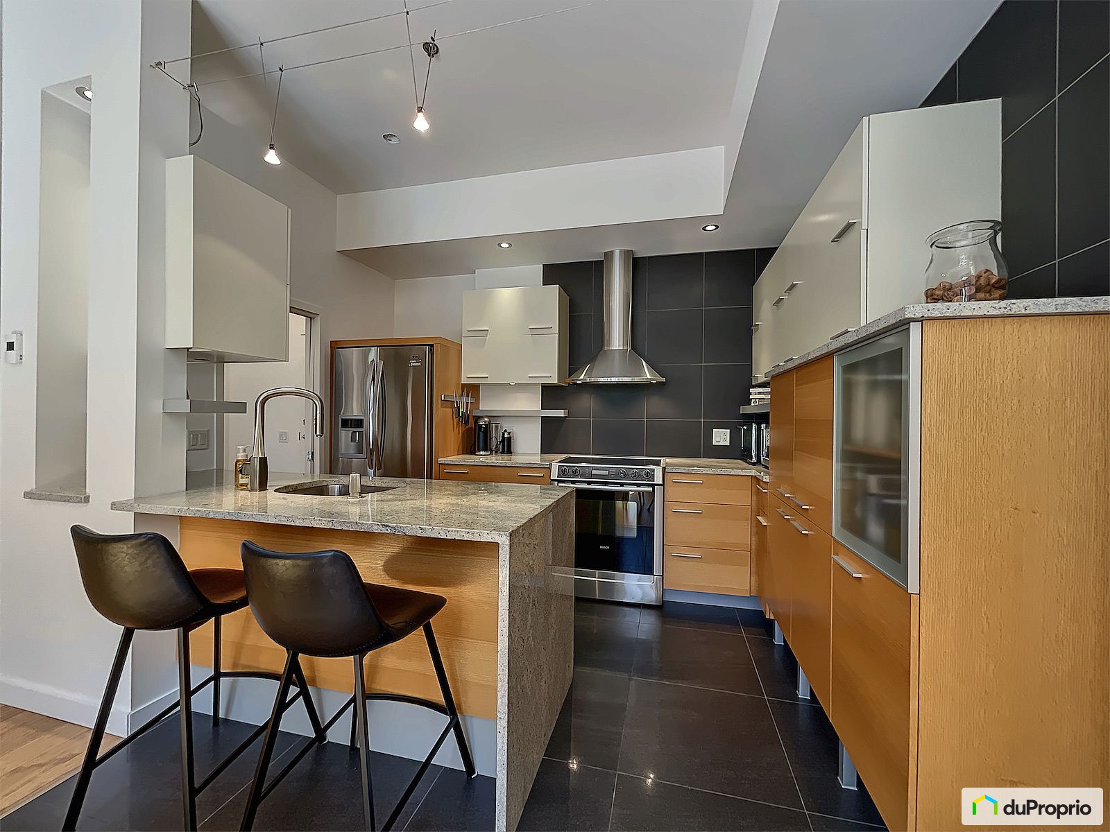 105 545 Rue Jacques Parizeau — photo 3