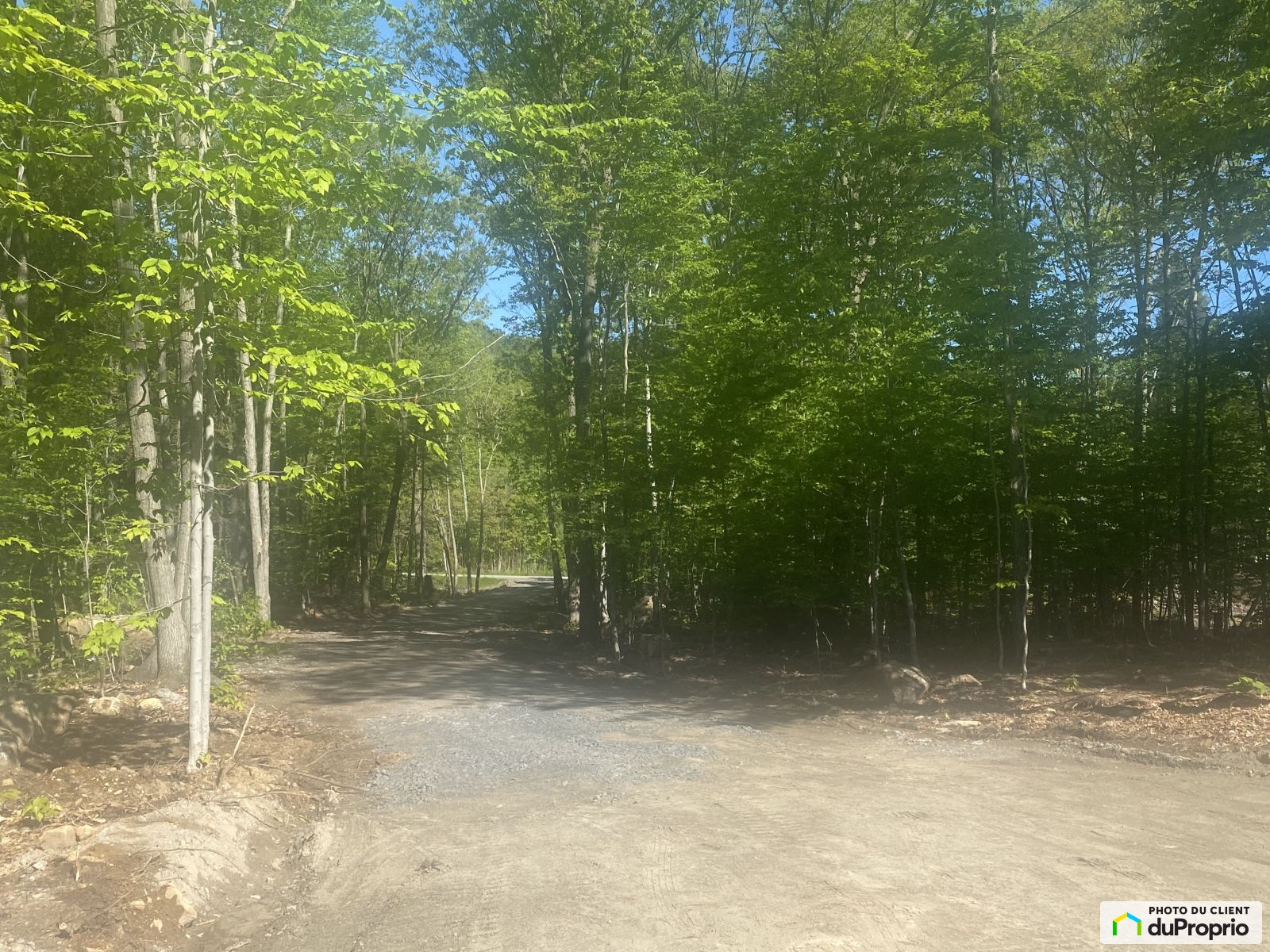 550 Rue Du Lac Pinet — photo 1