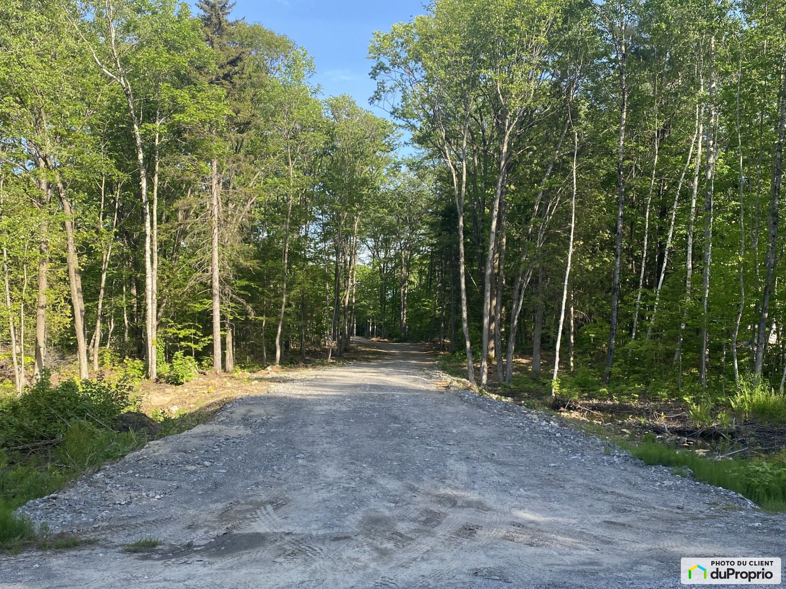 550 Rue Du Lac Pinet — photo 2
