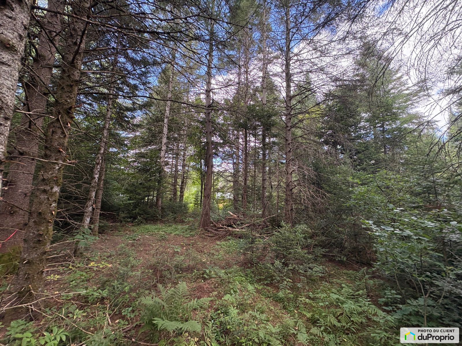 1694 Chemin Du Lac Renaud — photo 1