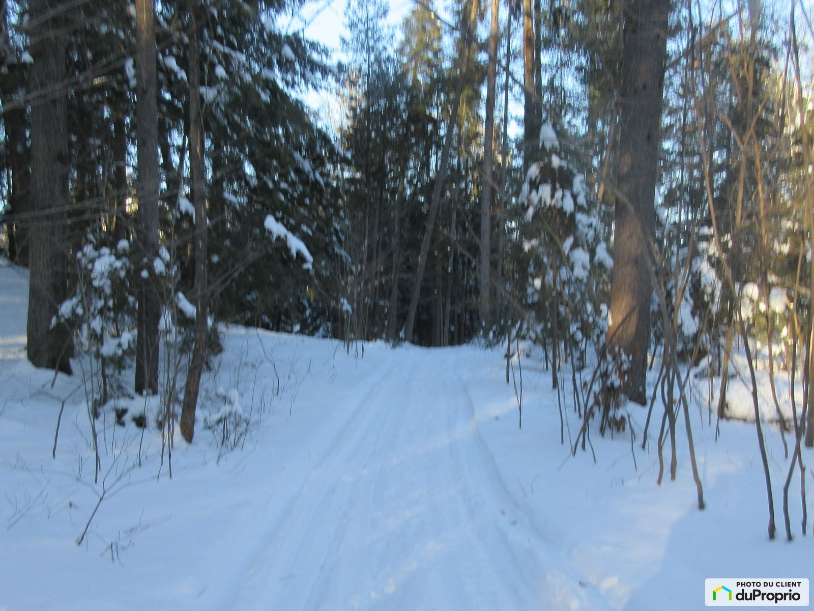 26 Chemin Dunn — photo 3