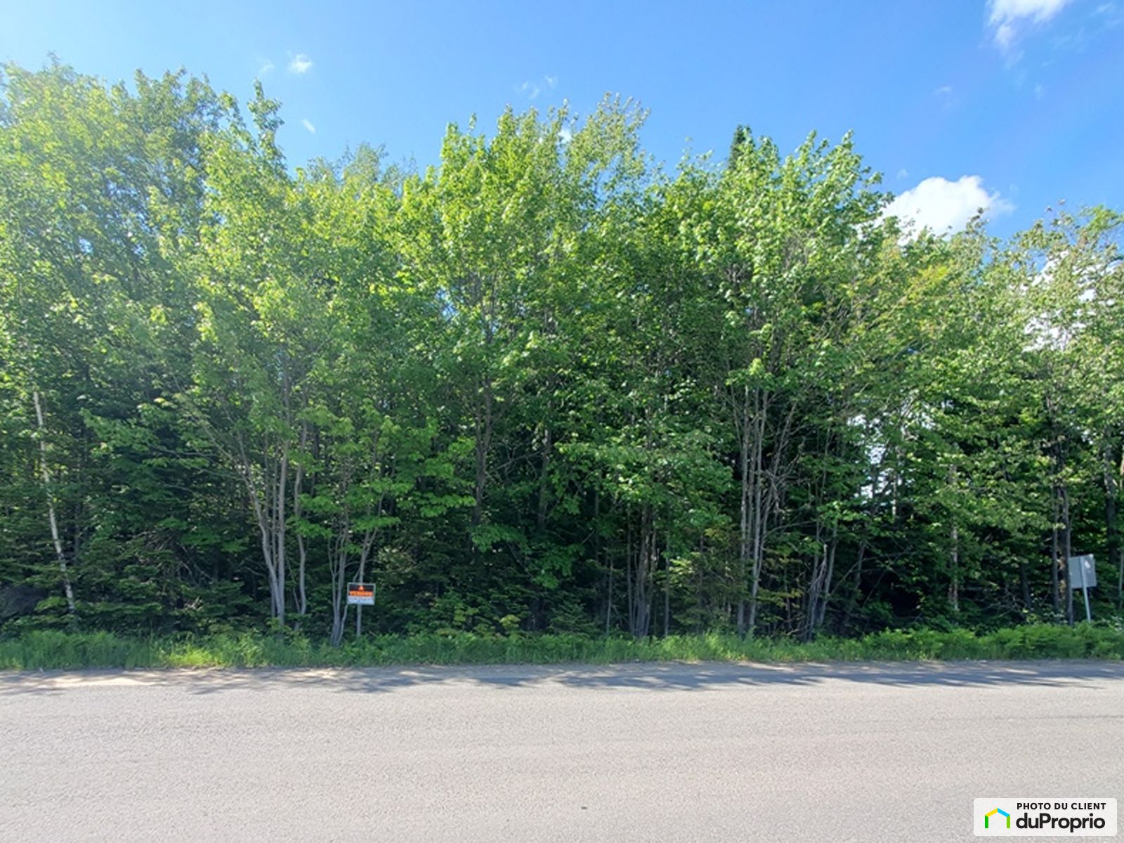 Chemin Du Cure Corbeil Ouest — photo 1