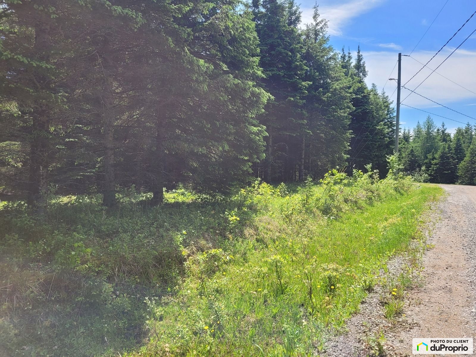 455 Chemin Des Rives Du Cerf — photo 1