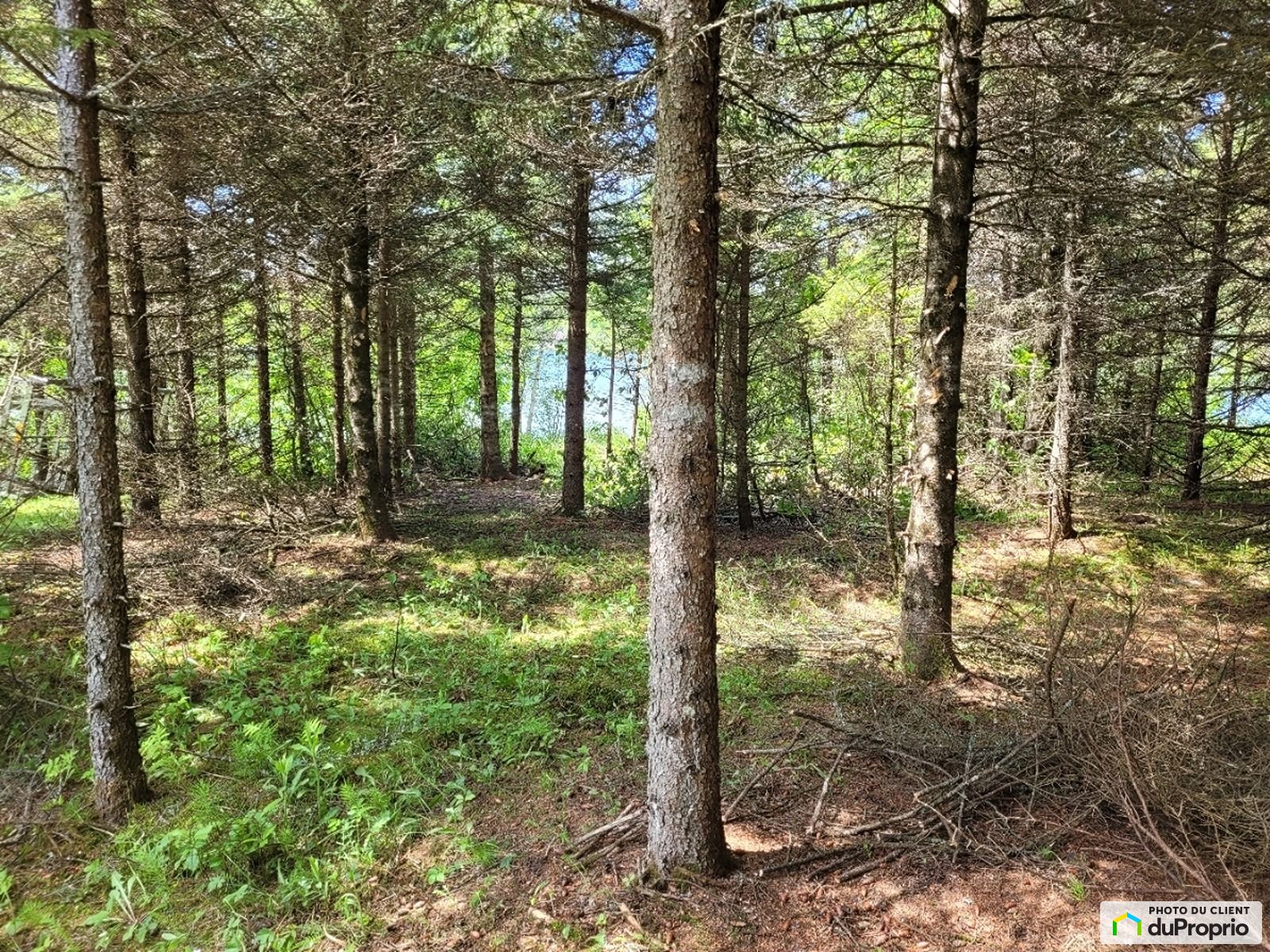 455 Chemin Des Rives Du Cerf — photo 1