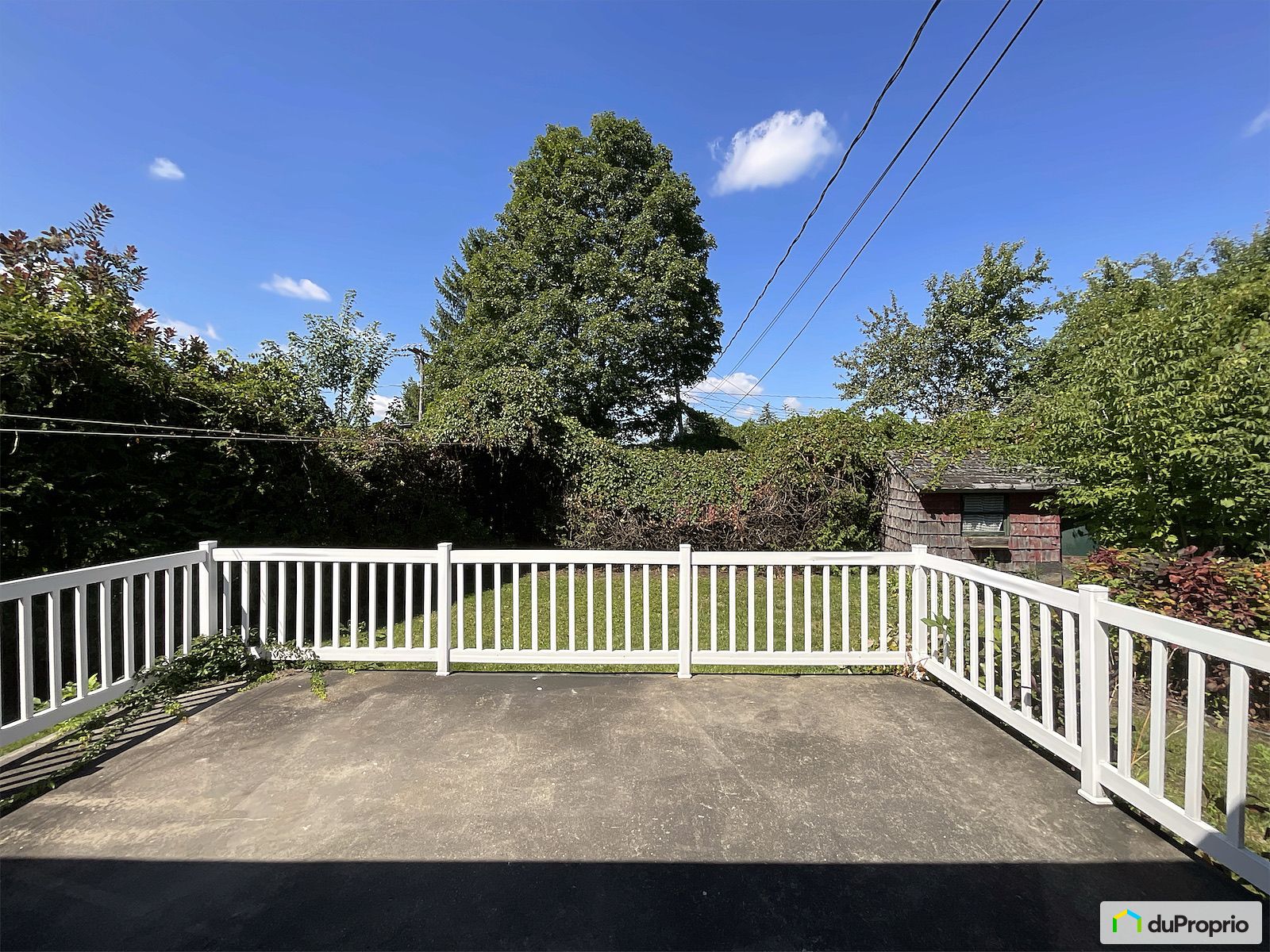 295 Boulevard Bellerose E — photo 2