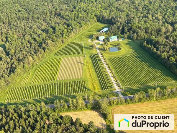 1085 route 243, Valcourt à vendre