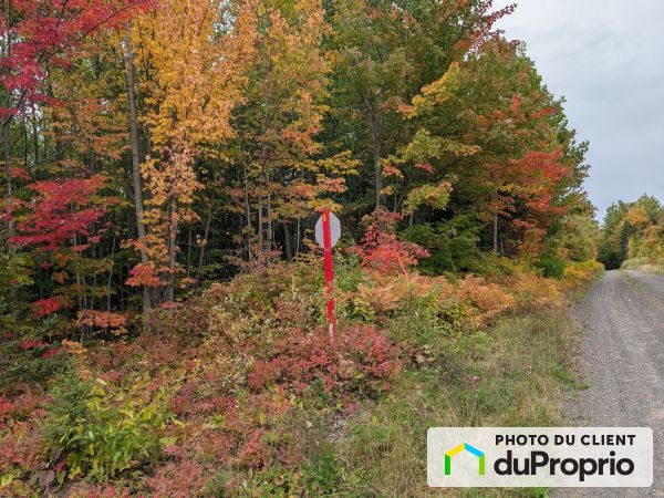 , route Centrale, St-Bruno-De-Kamouraska à vendre