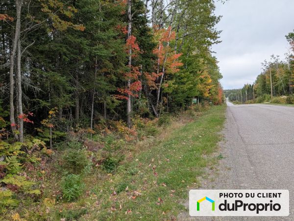 , route Centrale, St-Bruno-De-Kamouraska à vendre