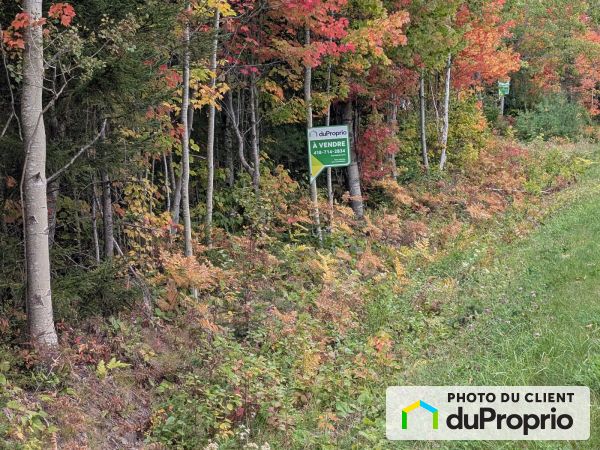 , route Centrale, St-Bruno-De-Kamouraska à vendre