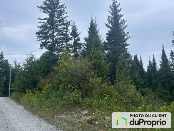  rue du Cerf, Val-David for sale