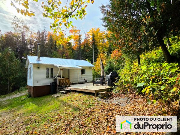 23, chemin de l'Écureuil-Roux, Gracefield à vendre