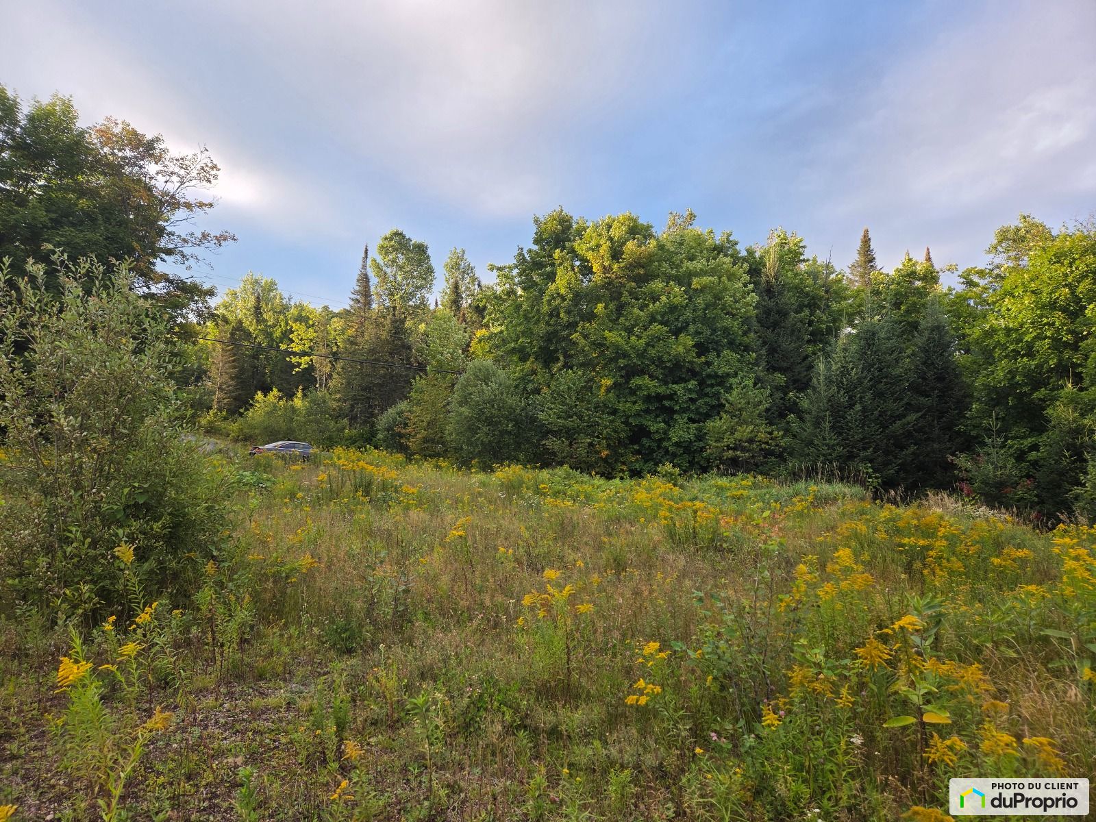 Chemin Du Lac Quenouille — photo 1