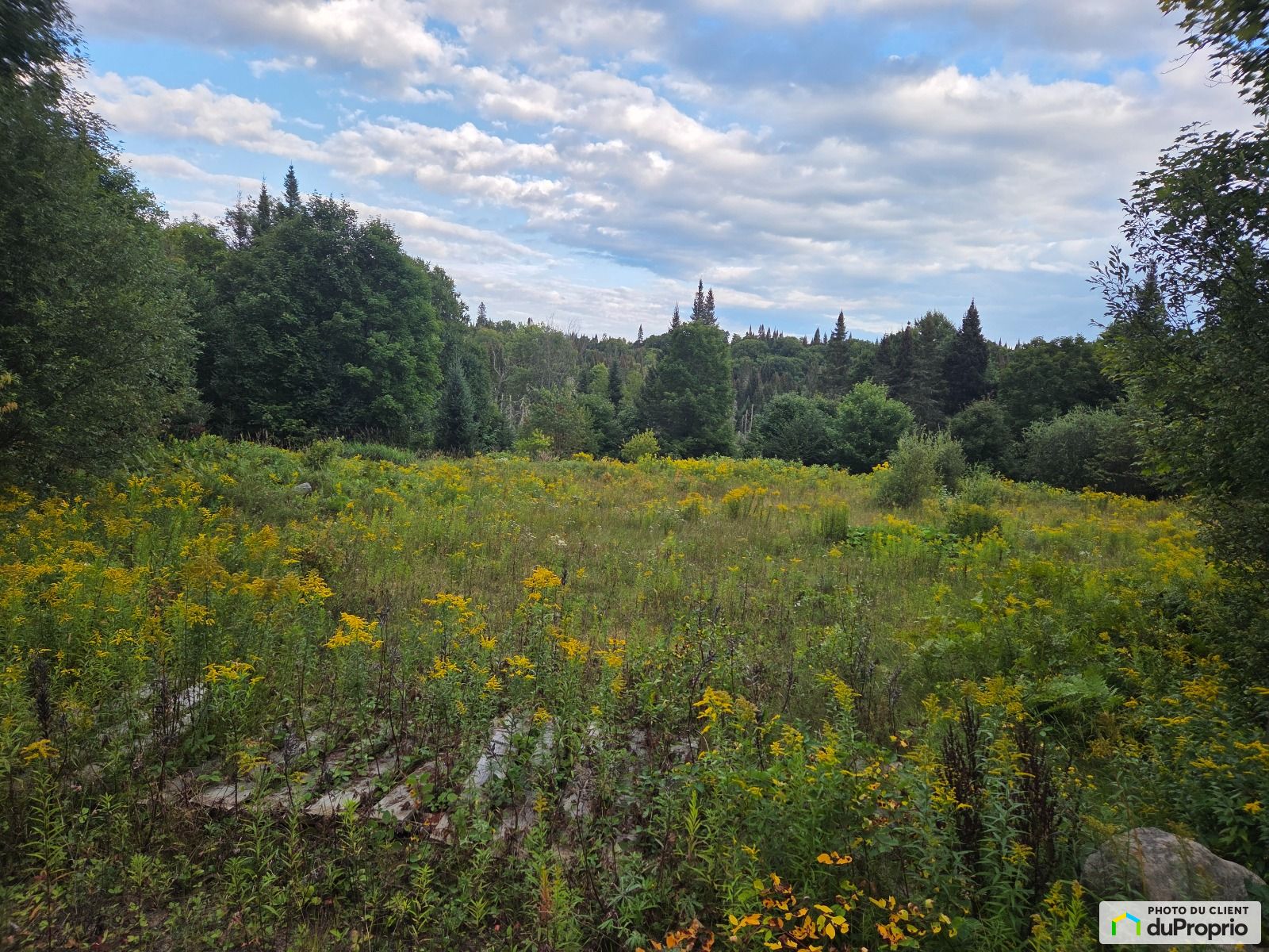Chemin Du Lac Quenouille — photo 2