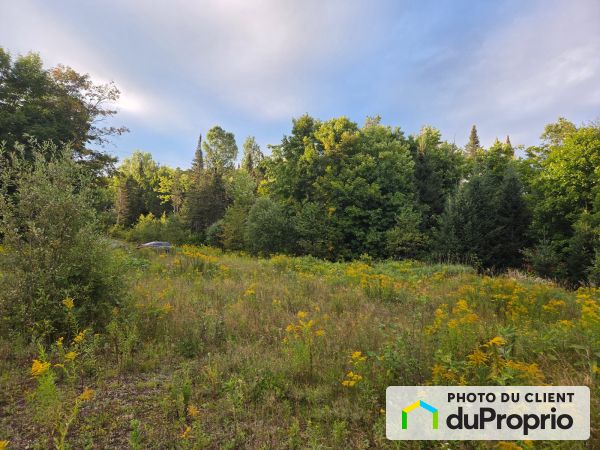  chemin du Lac-Quenouille, Lac-Superieur for sale