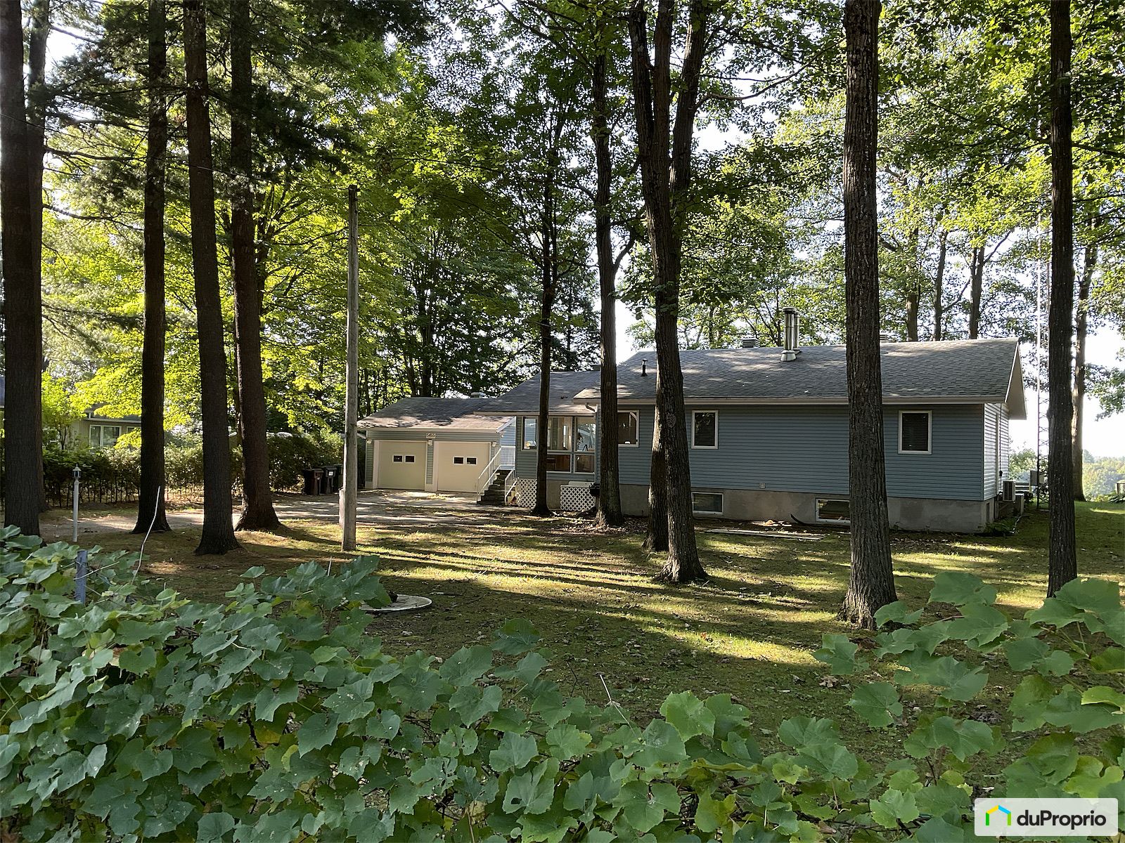 5455 Chemin Hemmings — photo 1