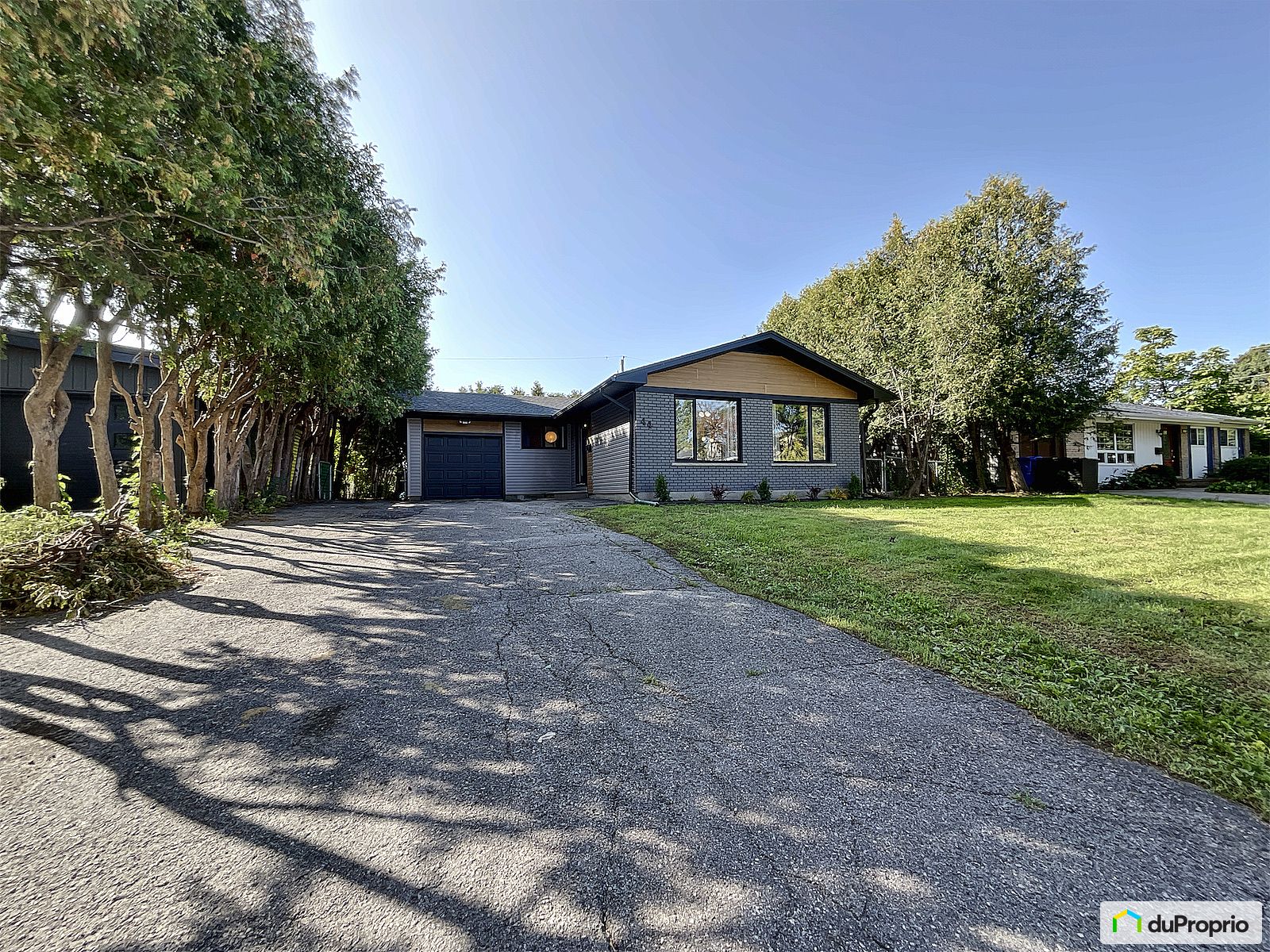 44 Rue Elgin — photo 3