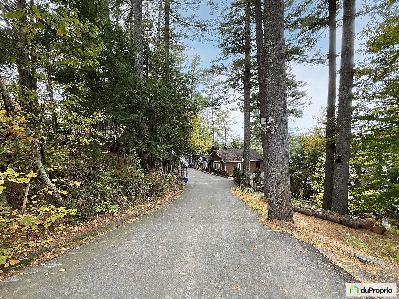 285 Chemin Du Lac — photo 3