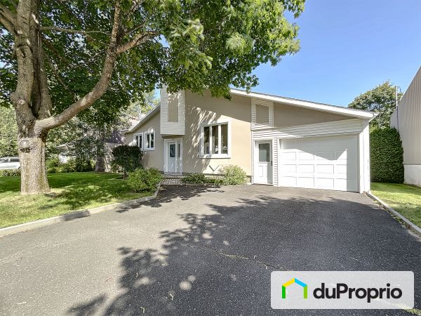 741, rue du Moulin-Larochelle, St-Jean-Chrysostome à vendre