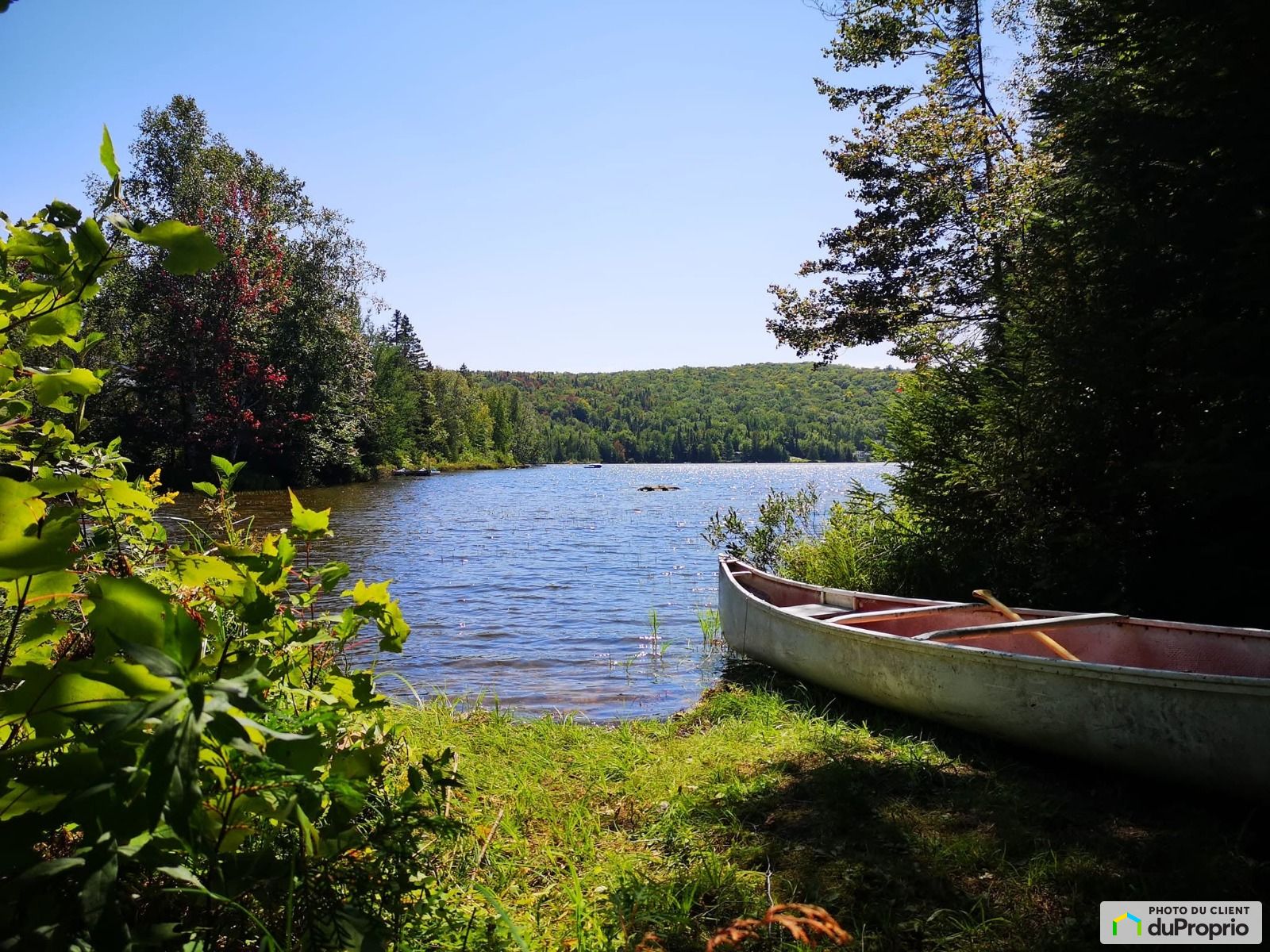 3192 Chemin Du Lac Du Castor — photo 3