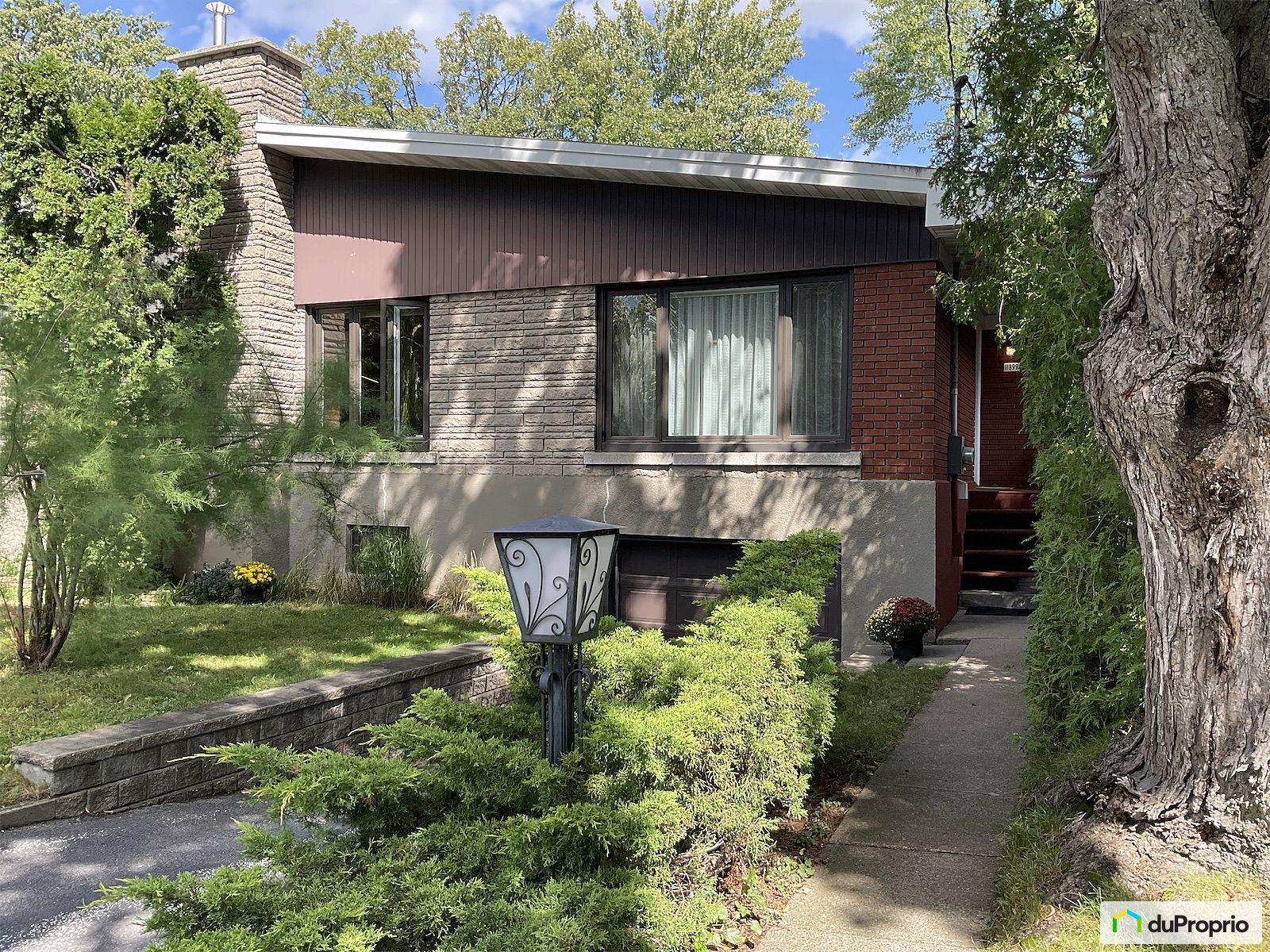 11899 Rue Valmont — photo 3