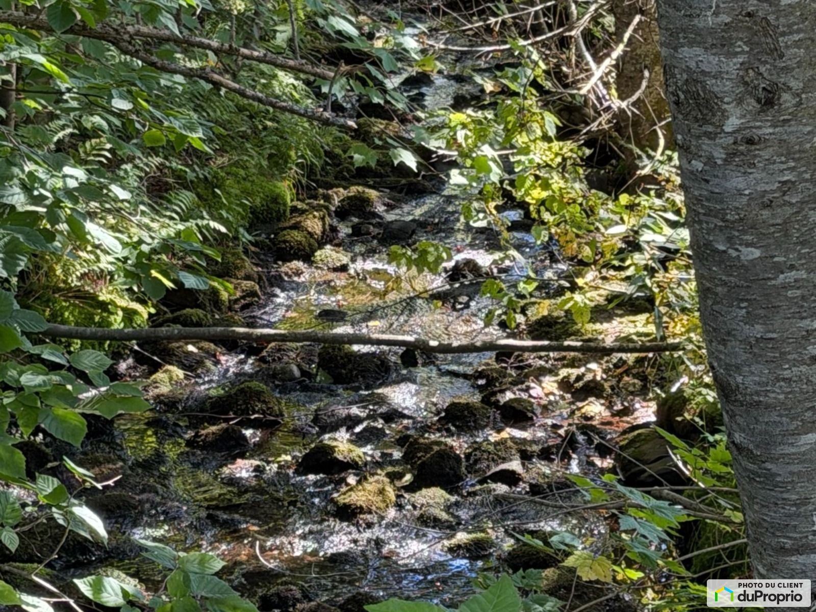 31 Route 283 — photo 2