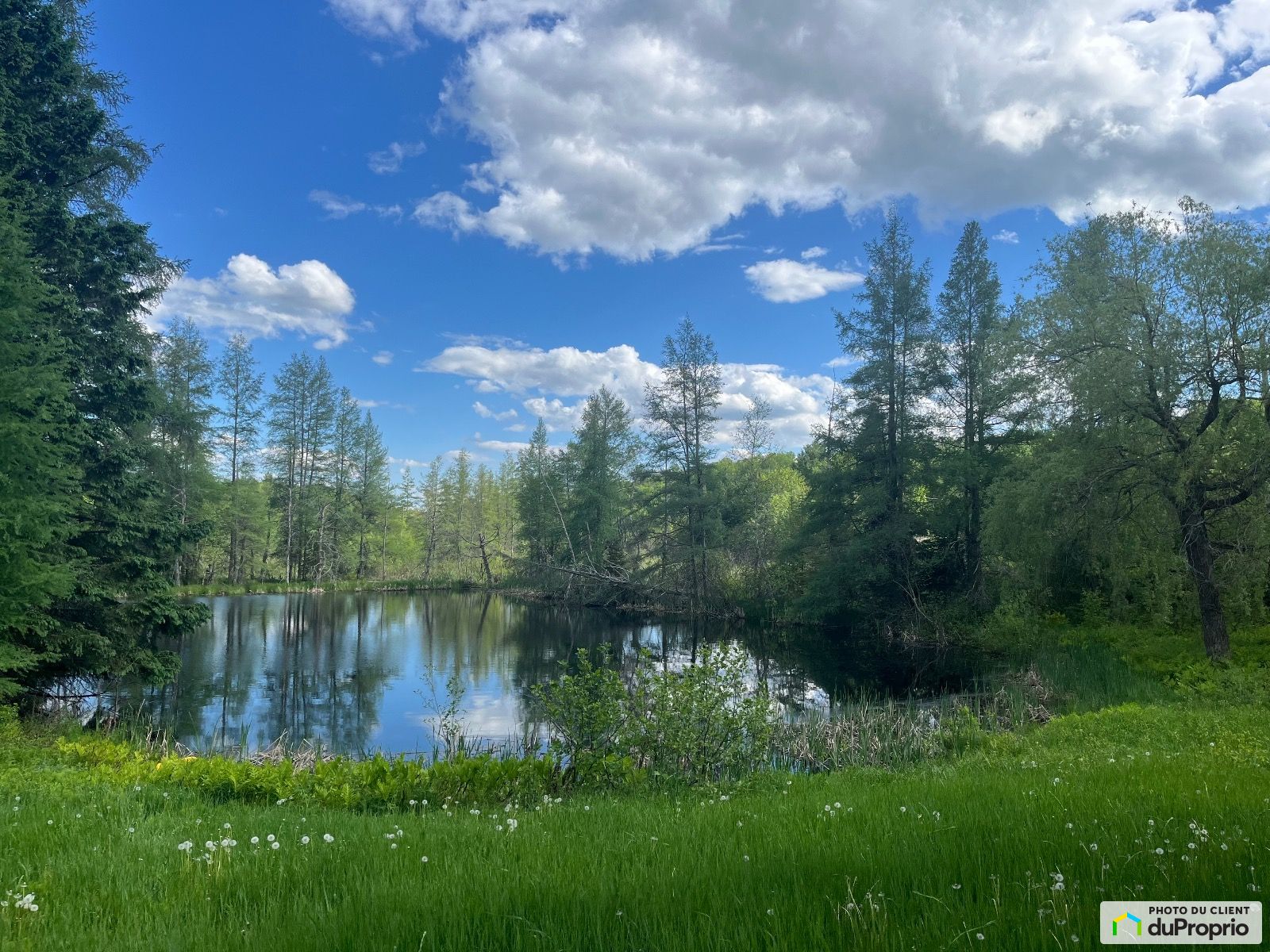 Chemin Du Lac Bernard — photo 1