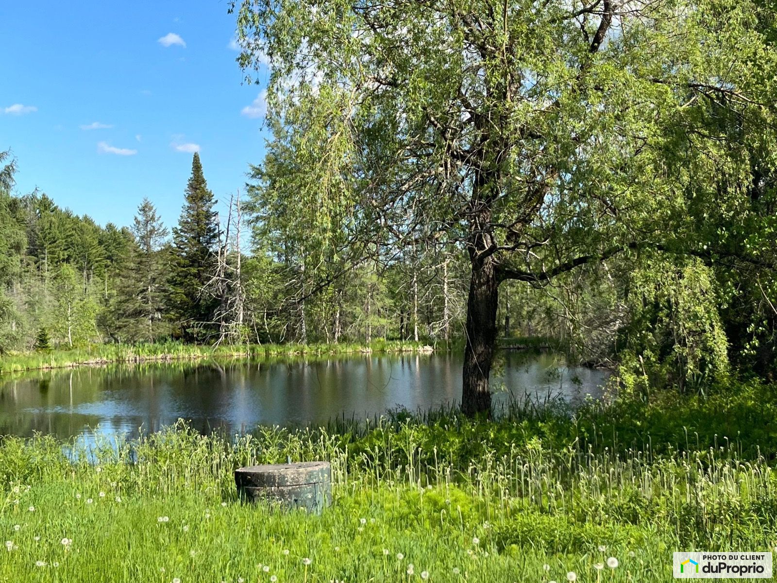 Chemin Du Lac Bernard — photo 2