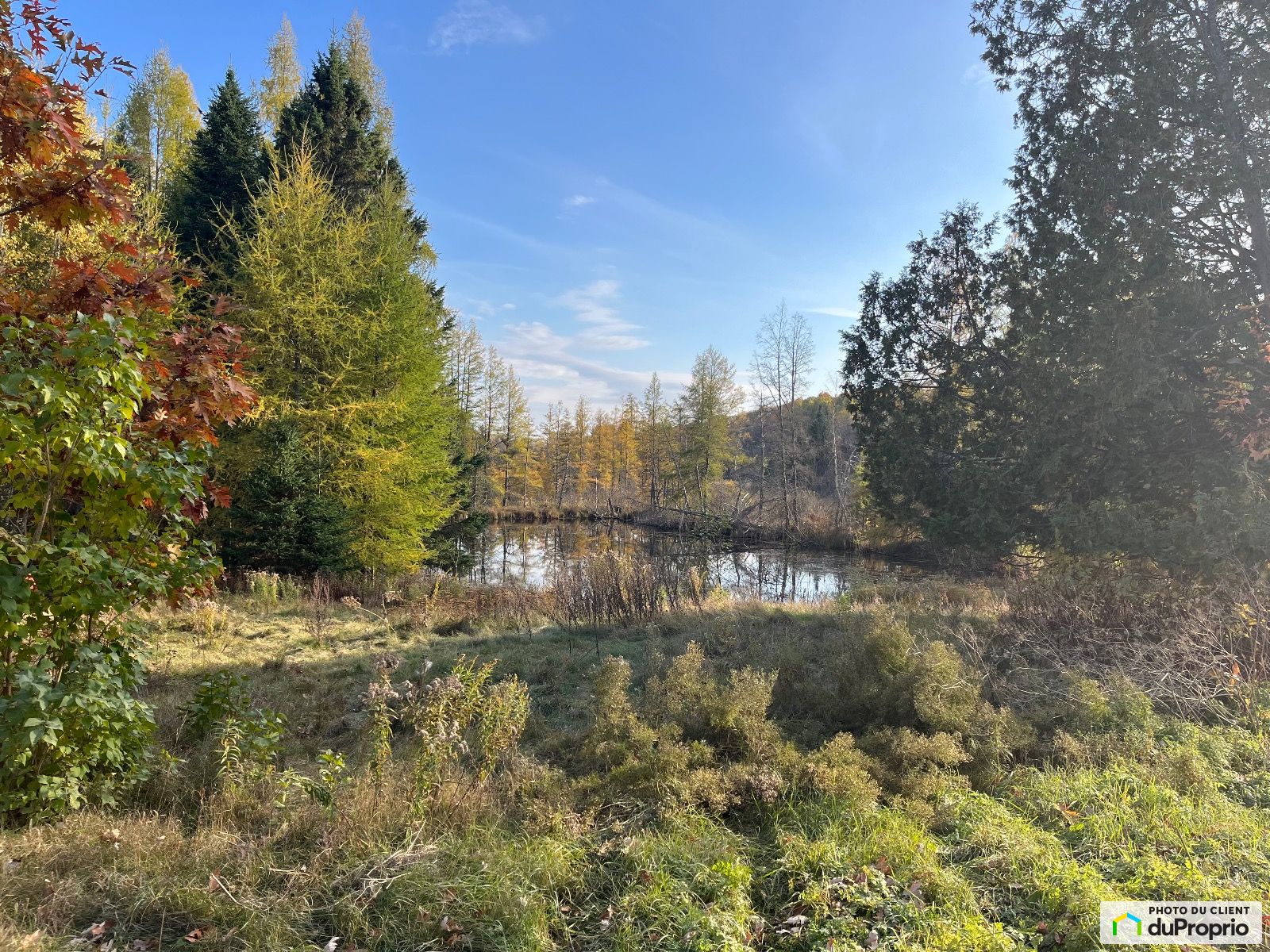 Chemin Du Lac Bernard — photo 3