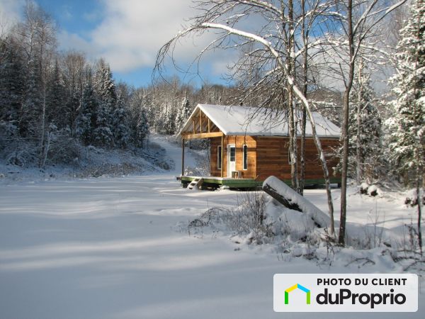 73, chemin Willie-Barbe, Gracefield à vendre