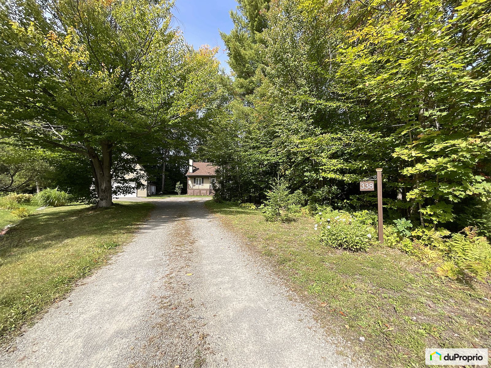 338 Rue Robitaille — photo 3