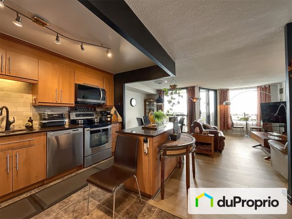 1906-110 rue du Château, Gatineau (Hull) for sale