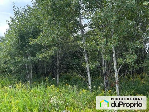 X 10e avenue, St-Georges for sale