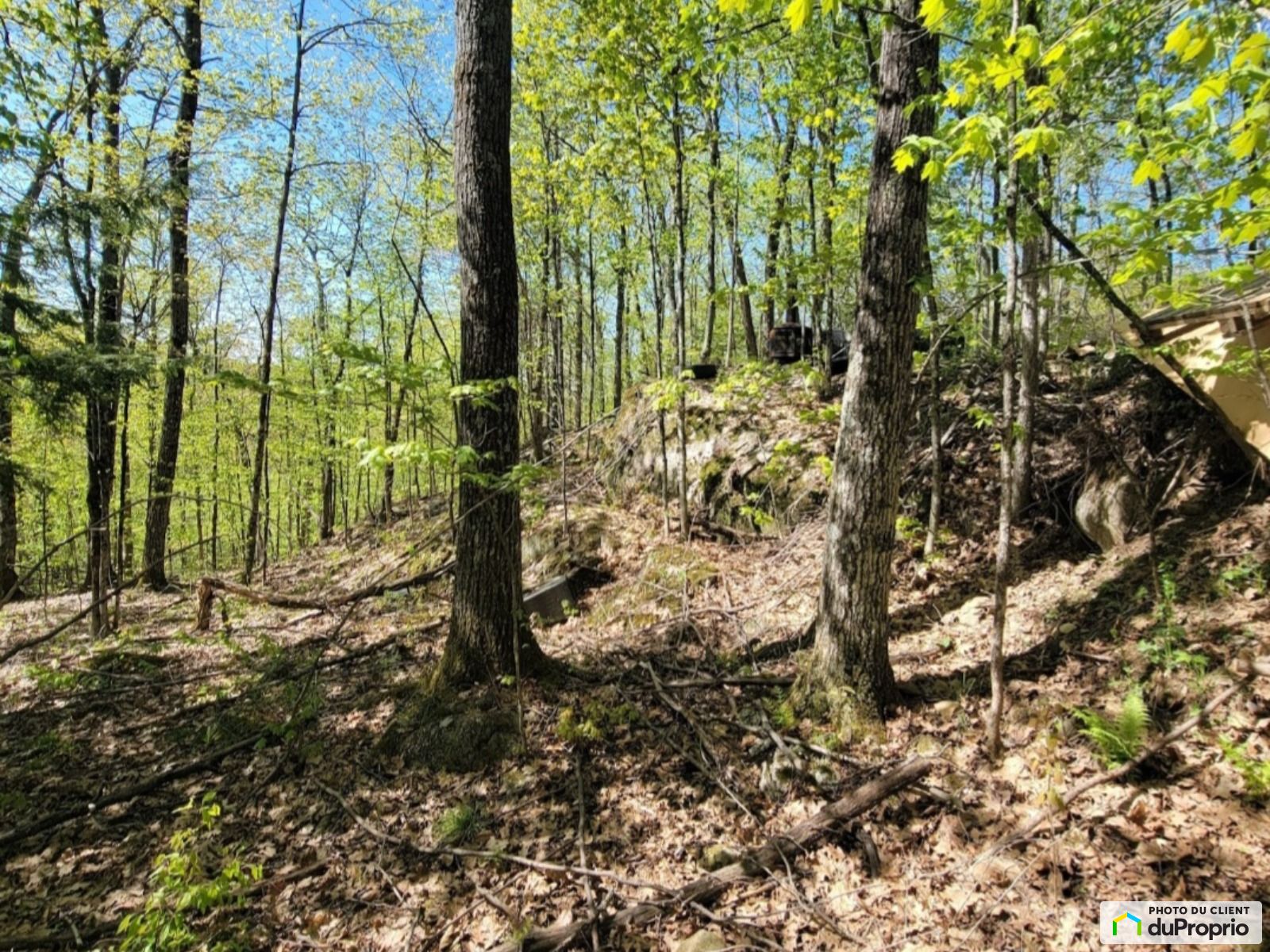 44 Chemin De Laigle — photo 3