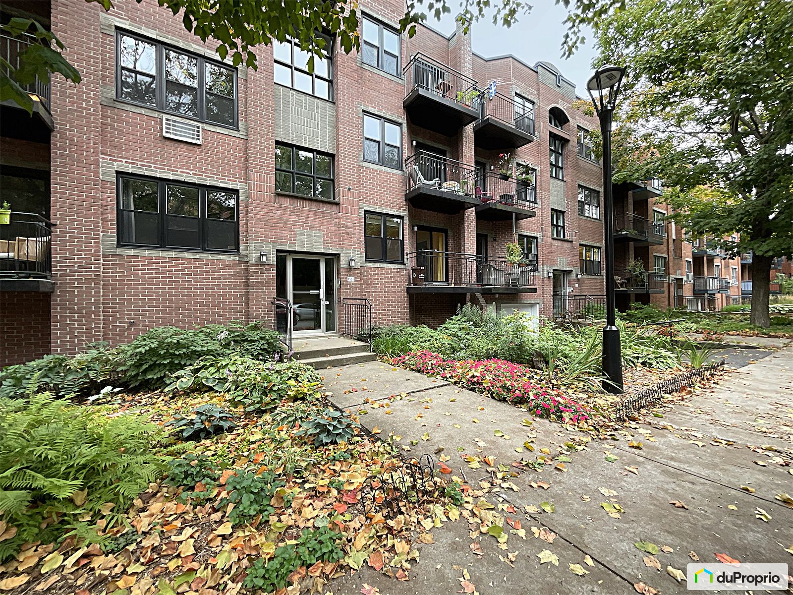 204 4554 Rue Euclide Brien — photo 1