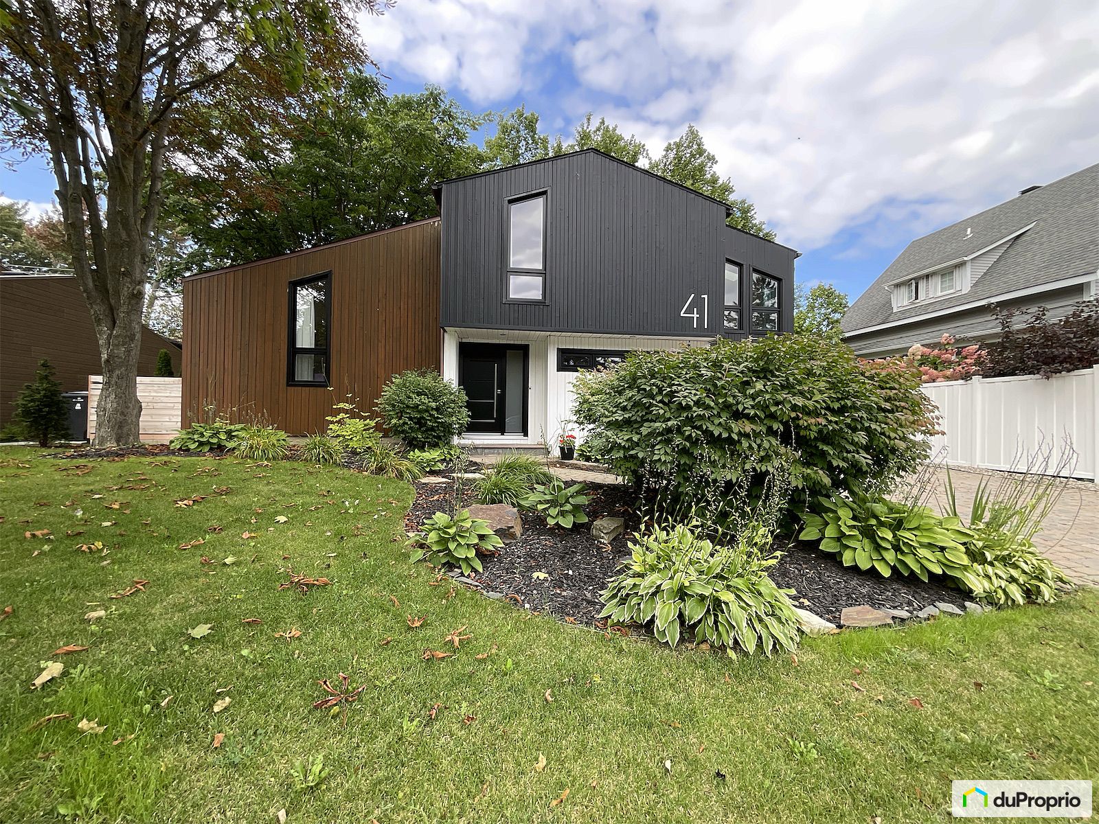 41 Rue Du Plateau — photo 3