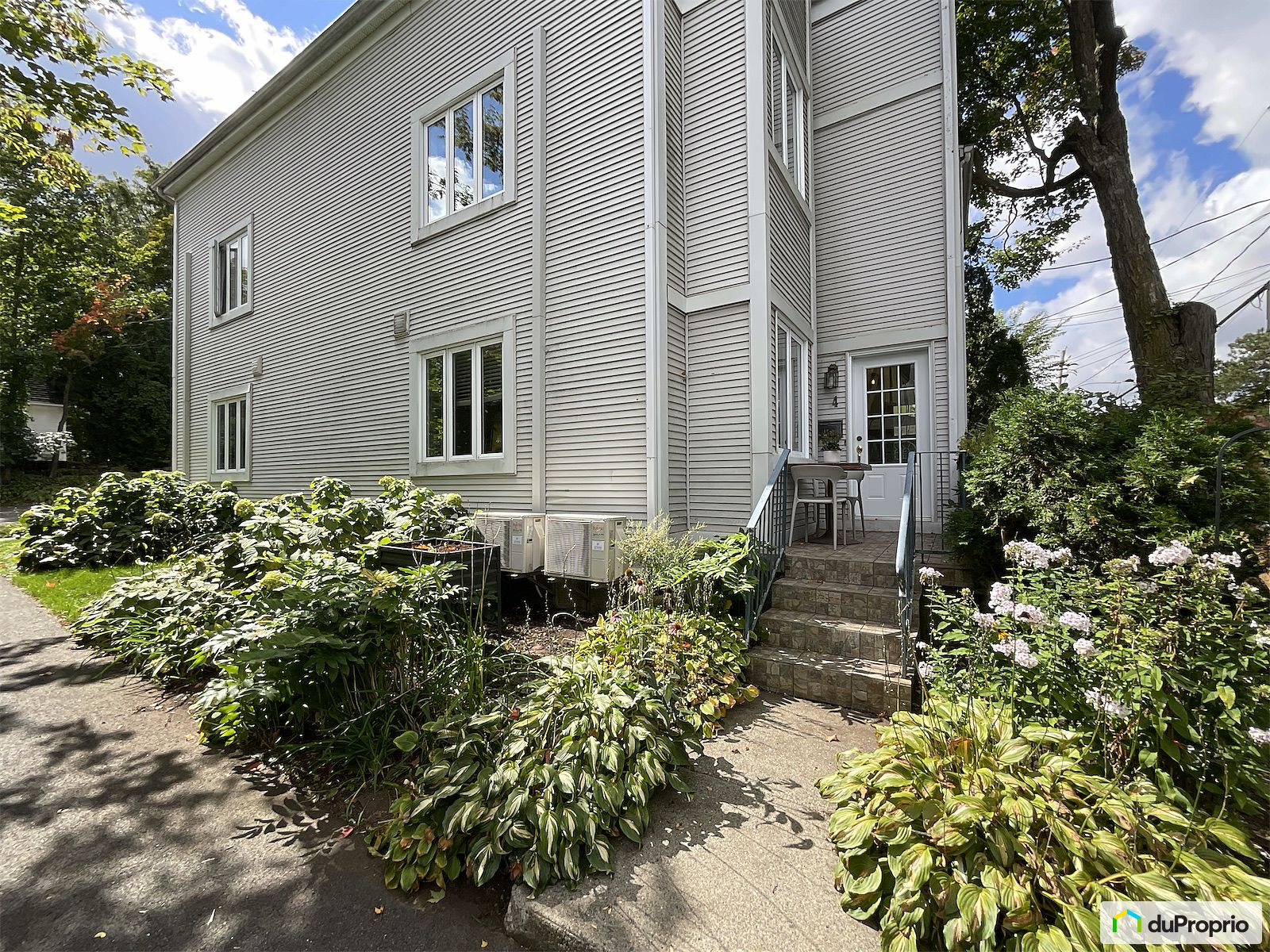 1 4 Rue Cairns — photo 3