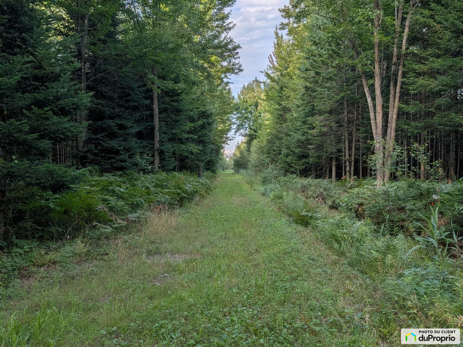 1484 11E Rang — photo 1