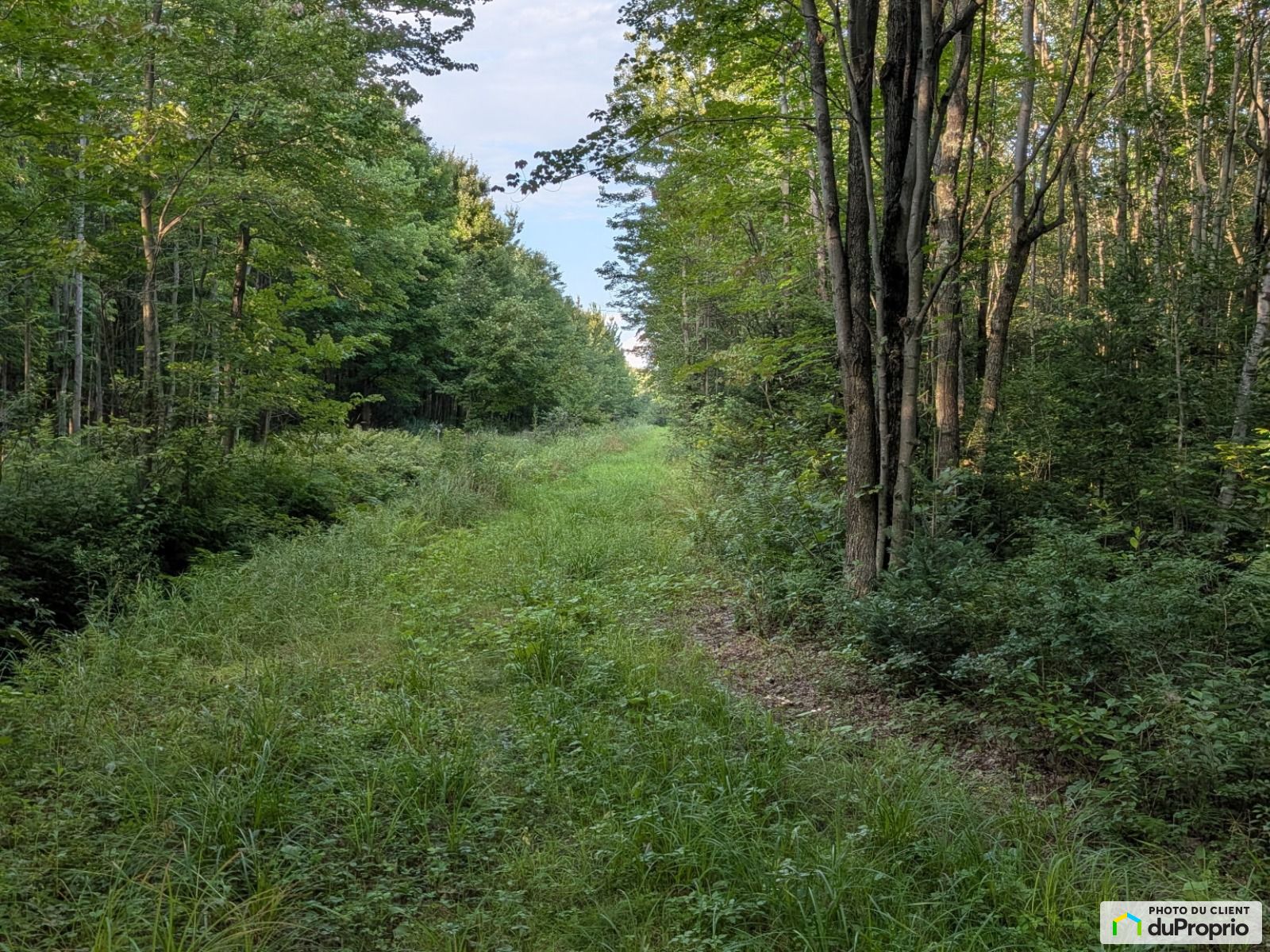 1484 11E Rang — photo 3
