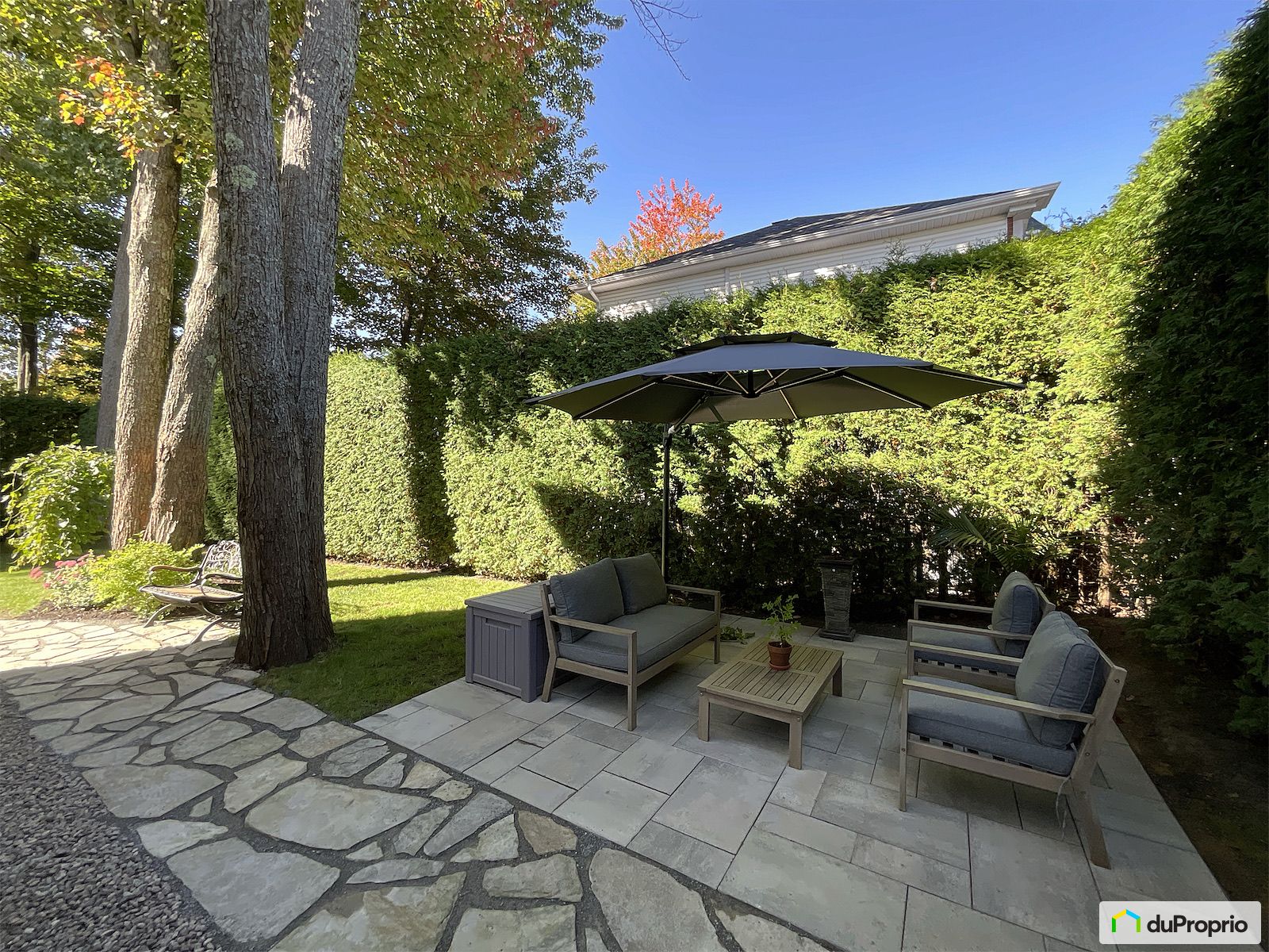 6875 Rue Felix Leclerc — photo 2