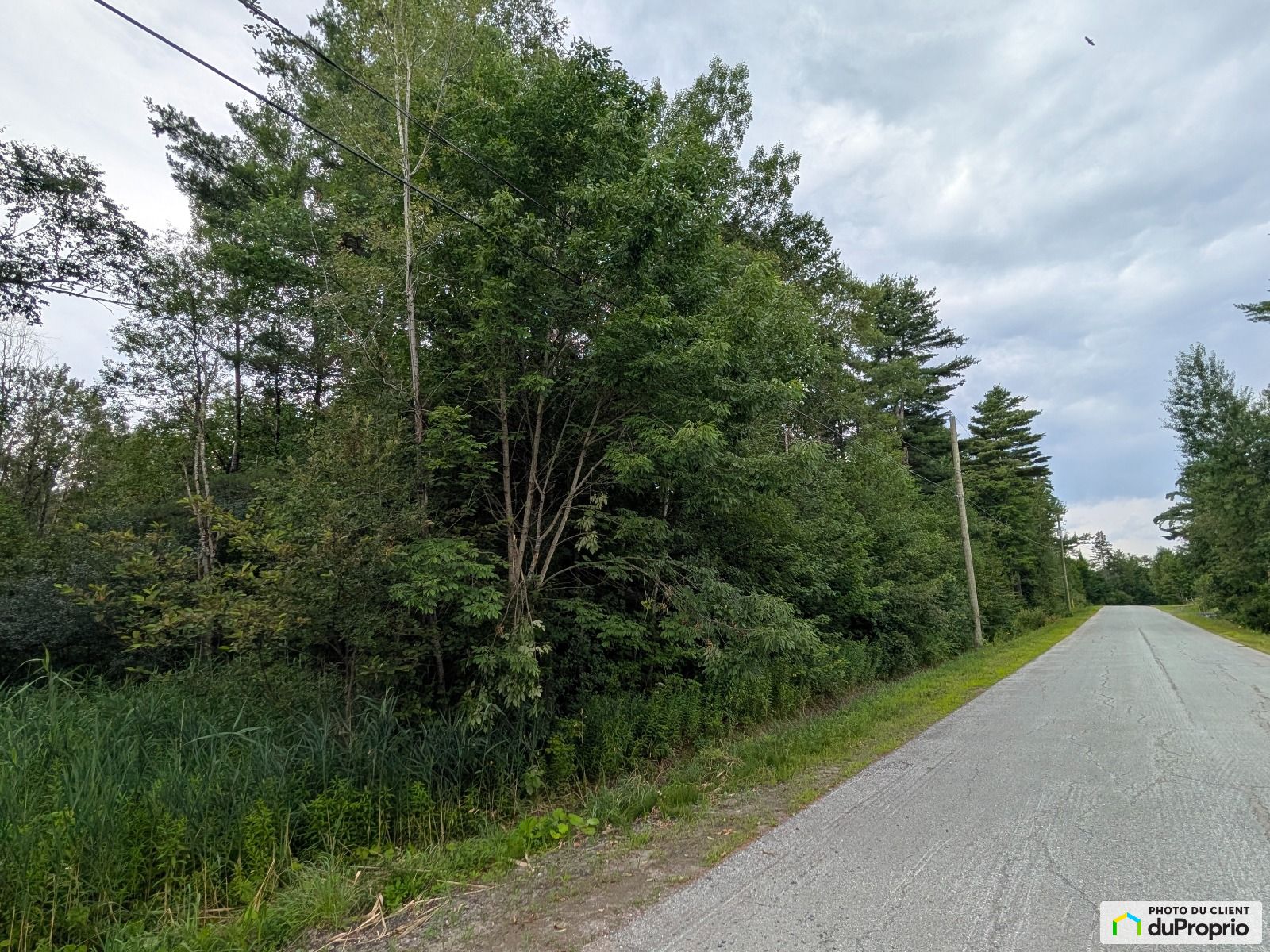 Chemin Des Myrtilles — photo 1