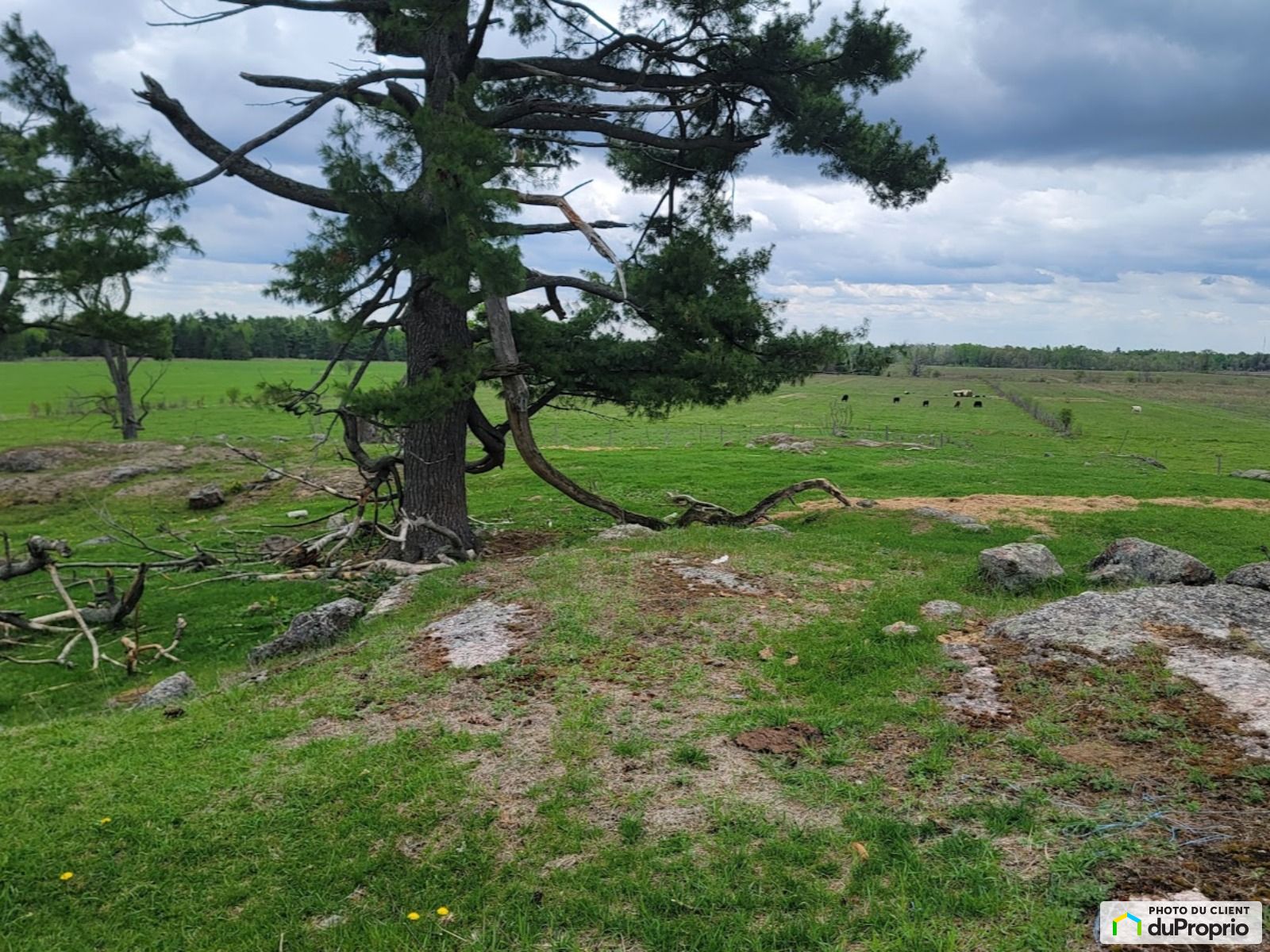 356 Chemin Du 6E Rang — photo 3