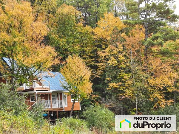 1014 route Philomène-Thibodeau, St-Alban à vendre