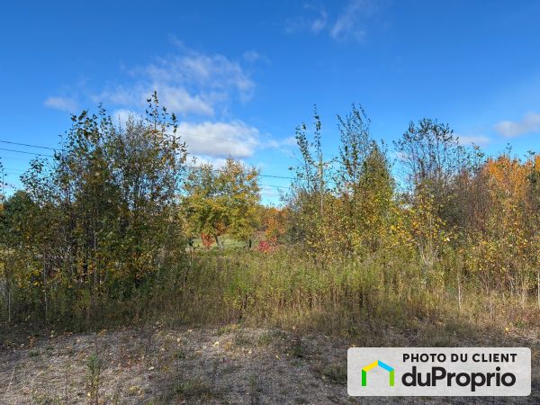 chemin du Bouton d'Or, Mont-Tremblant for sale