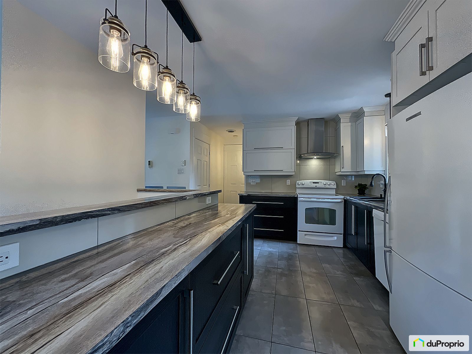 2084 Avenue Du Lac Saint Charl — photo 2