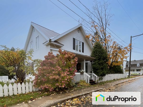 261, rue de l'Église, St-Basile-De-Portneuf à vendre